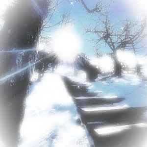 AlettaOcean的最新消息
