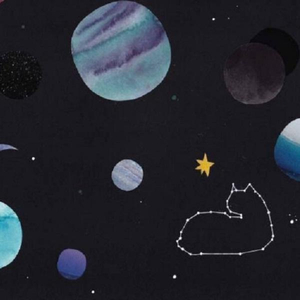 AlettaOcean的最新消息
